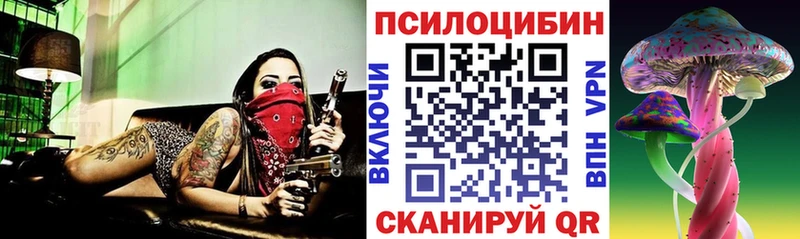 Псилоцибиновые грибы GOLDEN TEACHER KRAKEN маркетплейс Щёкино