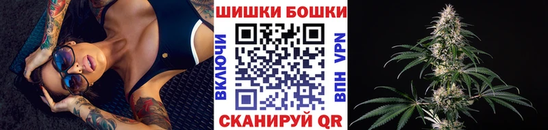 где купить   Щёкино  Каннабис OG Kush 